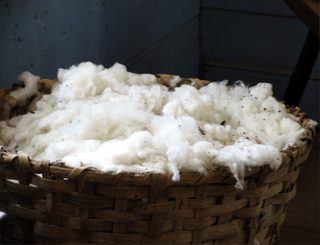 quality cotton source